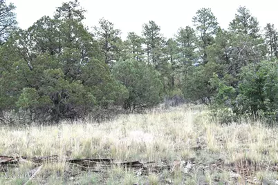 221 E Hancock Avenue, Williams, AZ 86046 - Photo 7