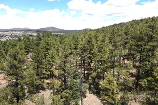 221 E Hancock Ave, Williams, AZ 86046 - Photo 1