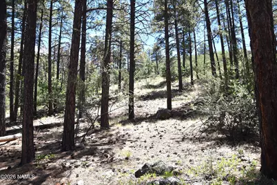 221 E Hancock Avenue, Williams, AZ 86046 - Photo 17