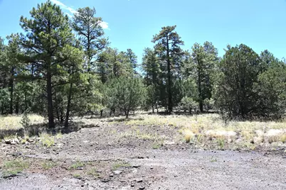 221 E Hancock Avenue, Williams, AZ 86046 - Photo 13