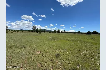 5303 N Red Mountain Road, Williams, AZ 86046 - Photo 7