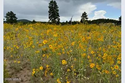 5303 N Red Mountain Road, Williams, AZ 86046 - Photo 11
