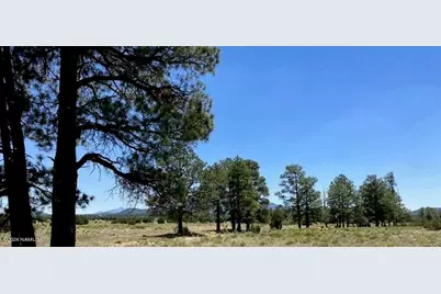 5303 N Red Mountain Road, Williams, AZ 86046 - Photo 5