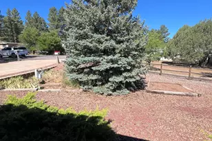 2365 W Sylvester Cir, Show Low, AZ 85901 - Photo 7