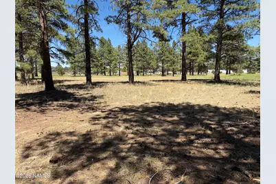 467 S Highland Meadows Drive, Williams, AZ 86046 - Photo 3