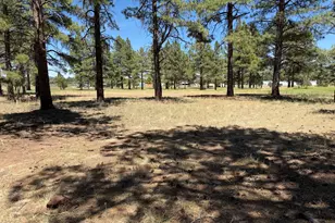 467 S Highland Mdws Dr, Williams, AZ 86046 - Photo 3