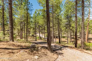 1568 E Sejarez Way, Flagstaff, AZ 86001 - Photo 29