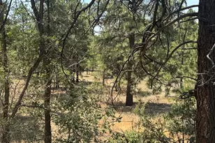 1745 E Linda Vista Dr, Flagstaff, AZ 86004 - Photo 11