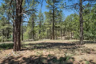 2571 S Highland Mesa Rd, Flagstaff, AZ 86001 - Photo 37