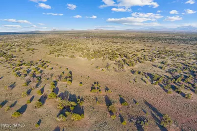 4436 Indian Meadows Road, Williams, AZ 86046 - Photo 17