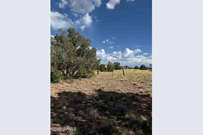 3028 S Spruce Road, Williams, AZ 86046 - Photo 9