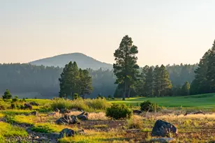 4045 S Pack Saddle, Flagstaff, AZ 86005 - Photo 39