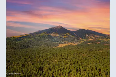 7289 W Dreamview Trail, Flagstaff, AZ 86001 - Photo 11