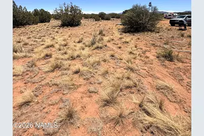 4209 E Parkway Drive, Williams, AZ 86046 - Photo 7