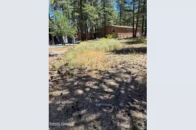 17035 S Teal Place, Munds Park, AZ 86017 - Photo 3