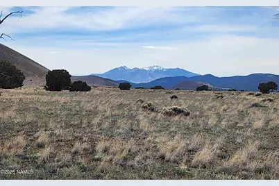 30347019 Alpine Ranches, Flagstaff, AZ 86004 - Photo 7