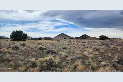 30347019 Alpine Ranches, Flagstaff, AZ 86004 - Photo 3
