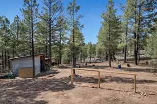 1290 S Herold Rnch Rd, Flagstaff, AZ 86004 - Photo 13