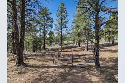 1290 S Herold Ranch Road, Flagstaff, AZ 86004 - Photo 15
