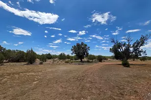 780 W Grand Blvd, Williams, AZ 86046 - Photo 33