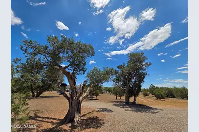 780 W Grand Boulevard, Williams, AZ 86046 - Photo 29