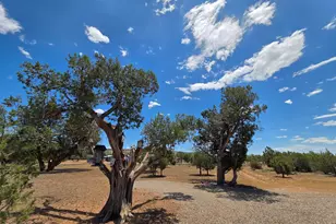 780 W Grand Blvd, Williams, AZ 86046 - Photo 29