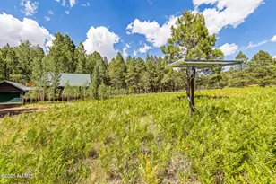 17787 N Forest Service 9004T Rd, Flagstaff, AZ 86001 - Photo 37
