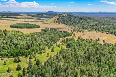17787 N Forest Service 9004T Road, Flagstaff, AZ 86001 - Photo 41