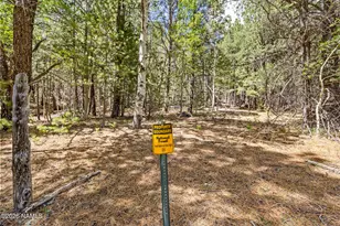 17787 N Forest Service 9004T Rd, Flagstaff, AZ 86001 - Photo 31