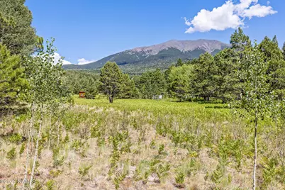 17787 N Forest Service 9004T Road, Flagstaff, AZ 86001 - Photo 9