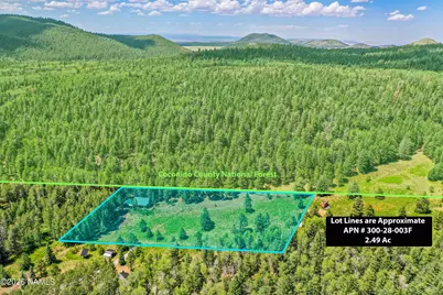 17787 N Forest Service 9004T Road, Flagstaff, AZ 86001 - Photo 29