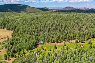 17787 N Forest Service 9004T Rd, Flagstaff, AZ 86001 - Photo 45