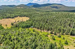17787 N Forest Service 9004T Rd, Flagstaff, AZ 86001 - Photo 43