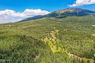 17787 N Forest Service 9004T Rd, Flagstaff, AZ 86001 - Photo 39
