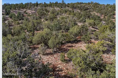 630 W Eagle Nest Road, Williams, AZ 86046 - Photo 9