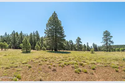 295 E Foxboro Road, Munds Park, AZ 86017 - Photo 25