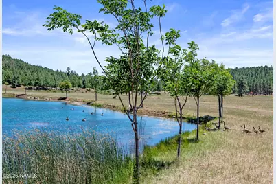 295 E Foxboro Road, Munds Park, AZ 86017 - Photo 17