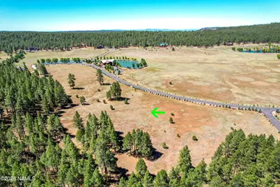 295 E Foxboro Road, Munds Park, AZ 86017 - Photo 5
