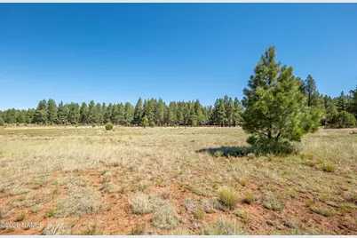 295 E Foxboro Road, Munds Park, AZ 86017 - Photo 27
