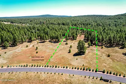 295 E Foxboro Road, Munds Park, AZ 86017 - Photo 3
