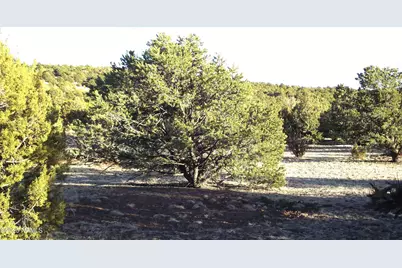 20202107C Honeysuckle Road, Williams, AZ 86046 - Photo 13