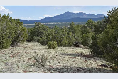 20202107C Honeysuckle Road, Williams, AZ 86046 - Photo 1