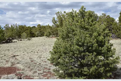 20202107C Honeysuckle Road, Williams, AZ 86046 - Photo 9