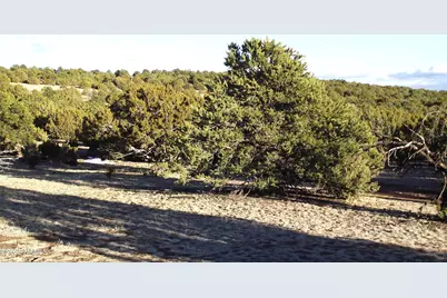 20202107C Honeysuckle Road, Williams, AZ 86046 - Photo 5