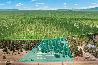 3348 Happy Trails Drive, Flagstaff, AZ 86005 - Photo 3