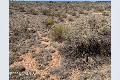 752 S Dewey Drive, Williams, AZ 86046 - Photo 5