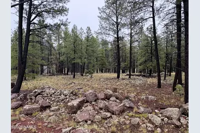787 S Friar Tuck Trail, Williams, AZ 86046 - Photo 7