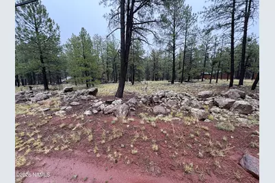 787 S Friar Tuck Trail, Williams, AZ 86046 - Photo 3