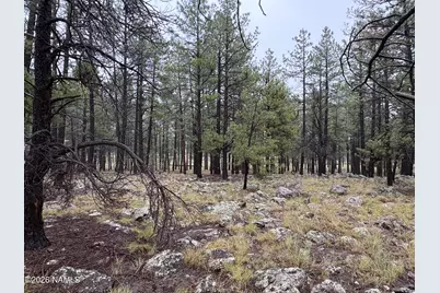 787 S Friar Tuck Trail, Williams, AZ 86046 - Photo 5
