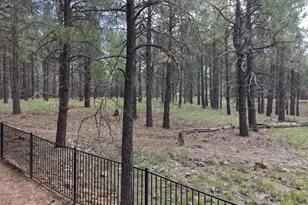 347 W Wulfenite Rd, Flagstaff, AZ 86005 - Photo 41